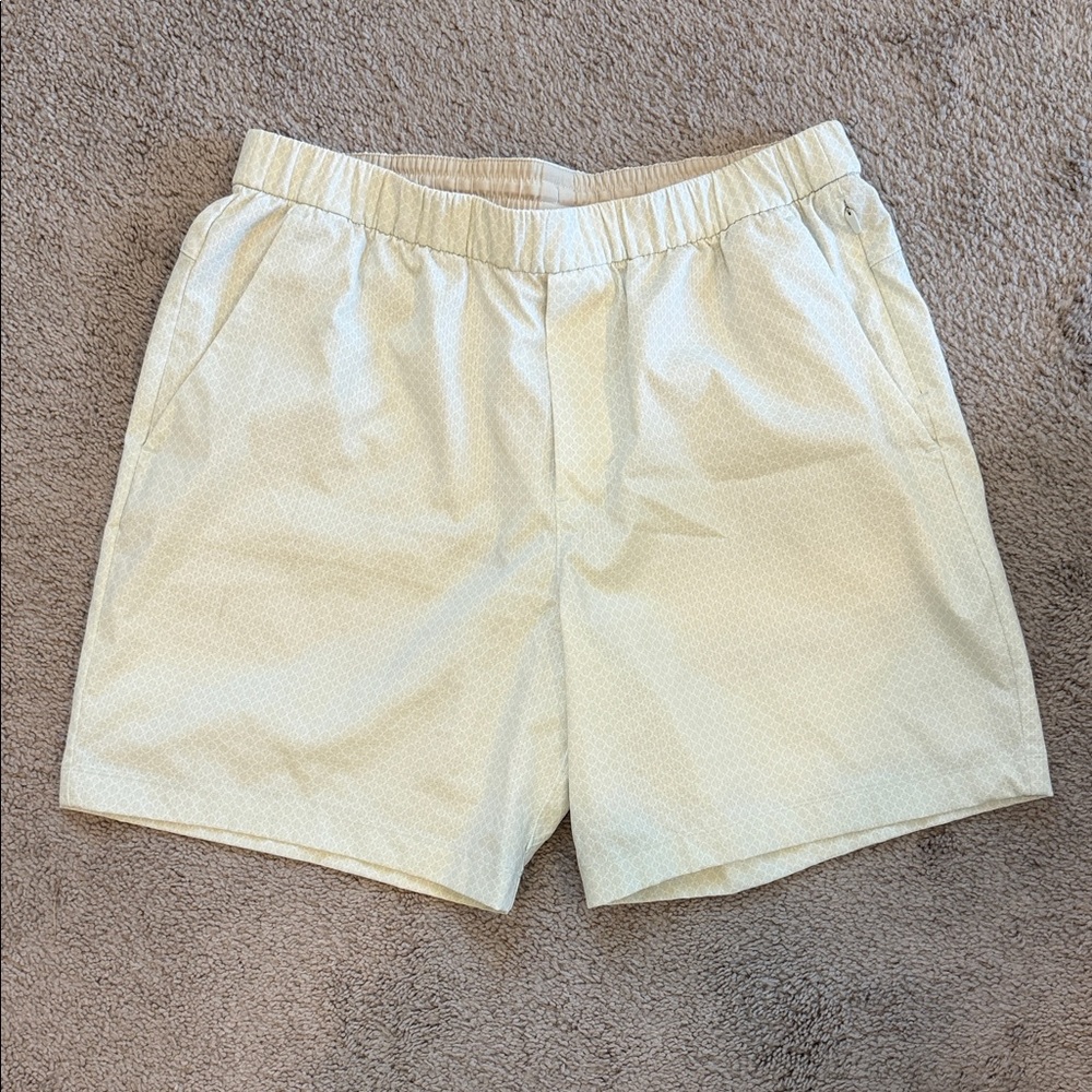 Light Green Patterned draw string golf Shorts